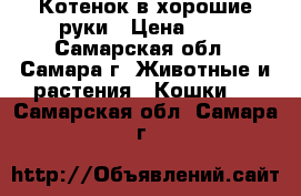 Котенок в хорошие руки › Цена ­ 1 - Самарская обл., Самара г. Животные и растения » Кошки   . Самарская обл.,Самара г.